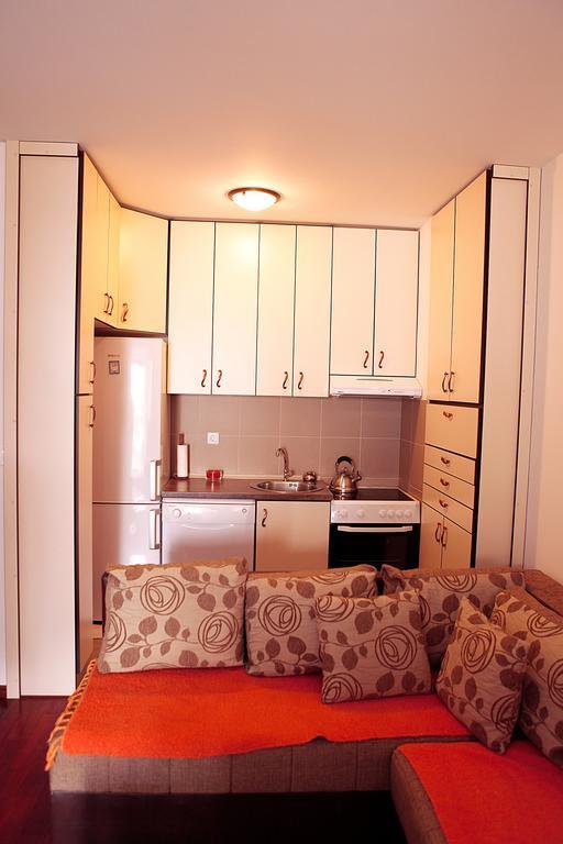 Studio Apartment Nika Anđusa Petrovac Ruang foto