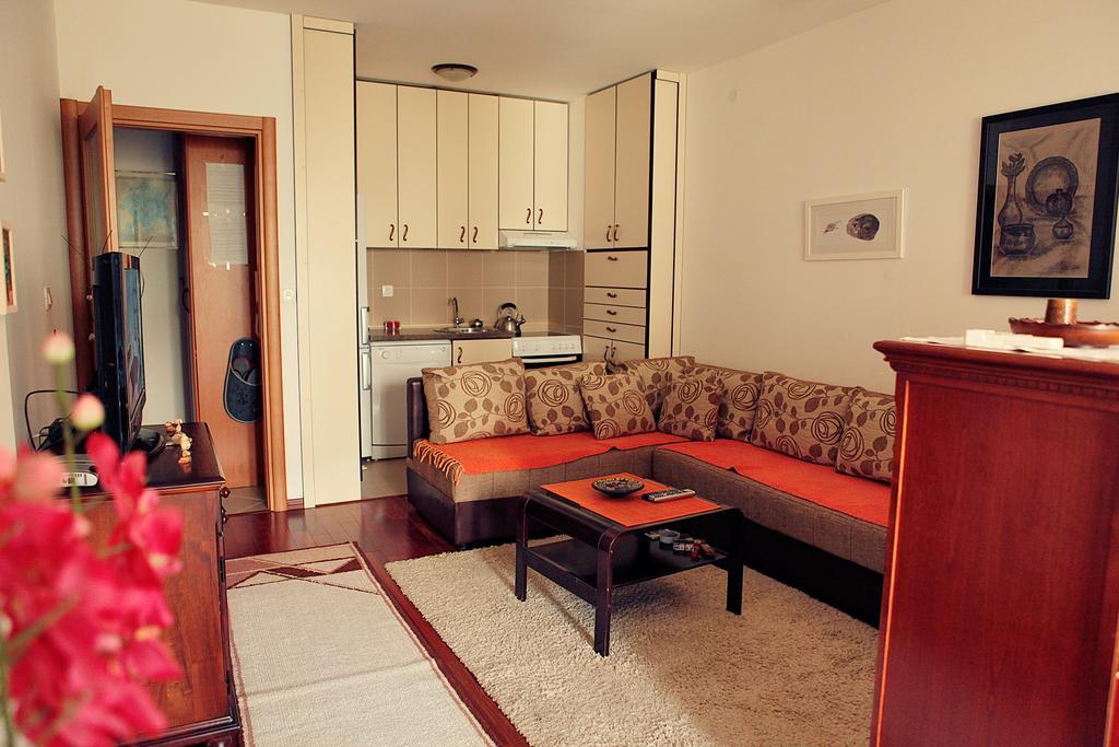 Studio Apartment Nika Anđusa Petrovac Ruang foto